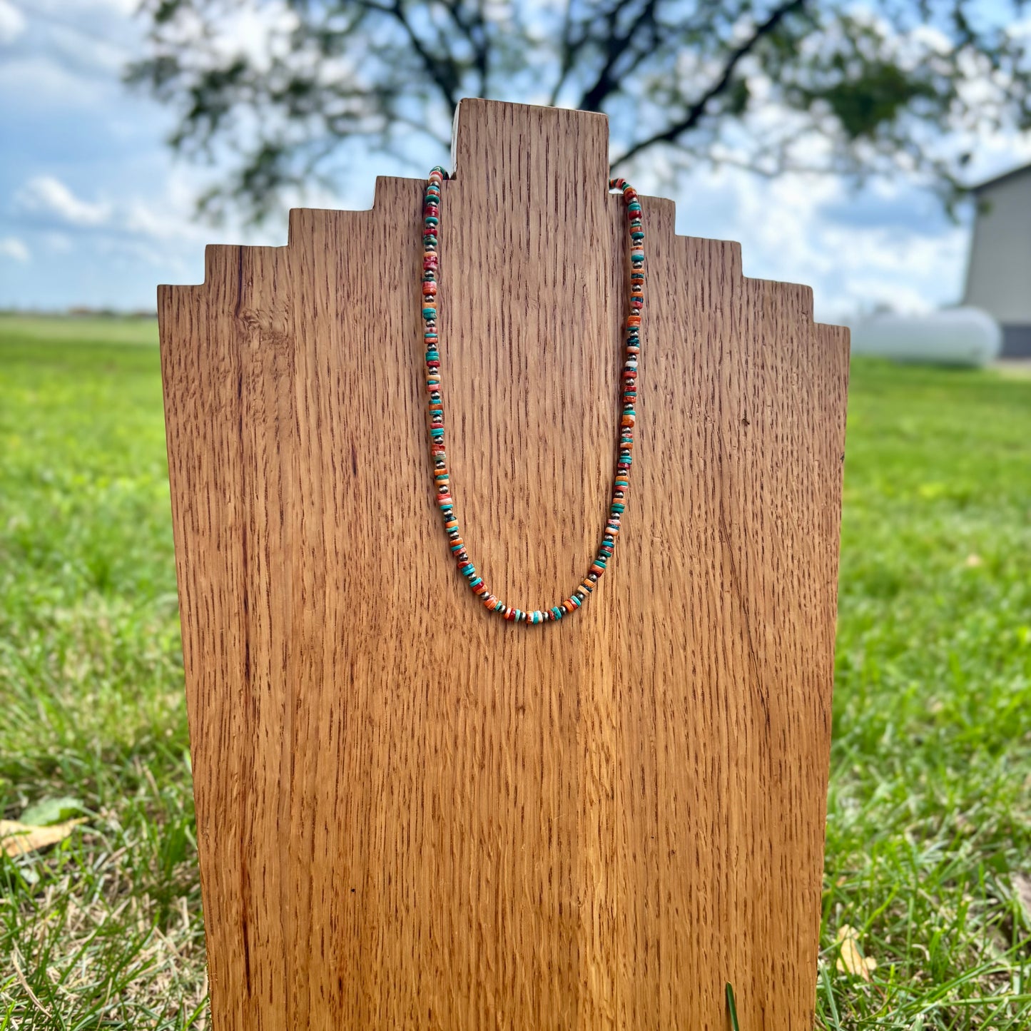 Turquoise + Orange/Red Spiny Necklace